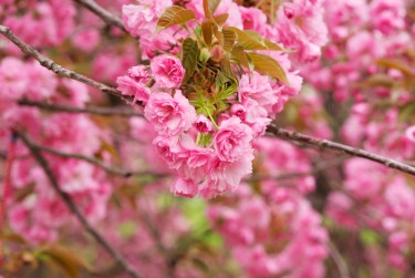 绍兴越城区1线下个人借款平台一站式服务，轻松解决资金难题