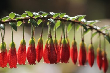 绍兴越城区1零用贷短借：轻松解决临时资金需求