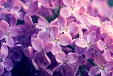 绍兴越城区1企业急用钱贷款攻略：快速融资解燃眉之急